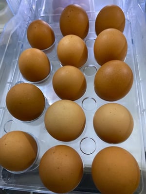 お礼の品の感想画像 1