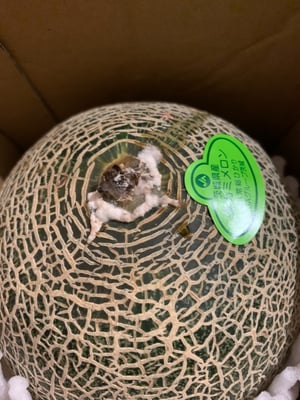 お礼の品の感想画像 1