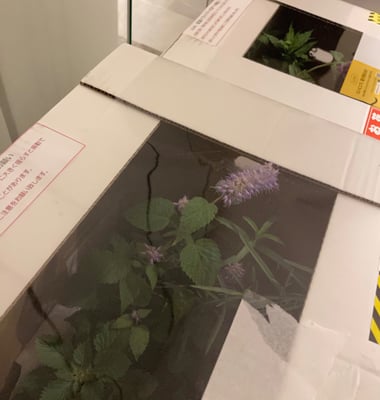 お礼の品の感想画像 2