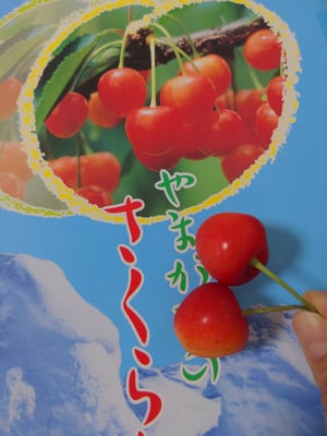 お礼の品の感想画像 1