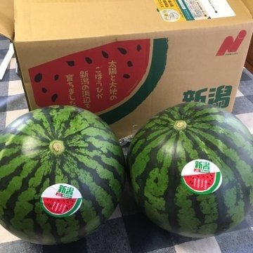 お礼の品の感想画像 1