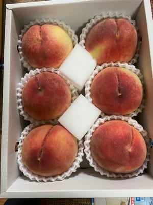 お礼の品の感想画像 1