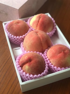 お礼の品の感想画像 1