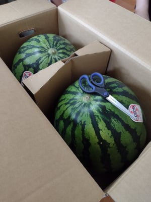 お礼の品の感想画像 1