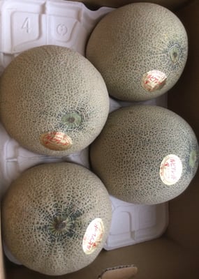 お礼の品の感想画像 1
