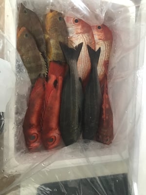 お礼の品の感想画像 1