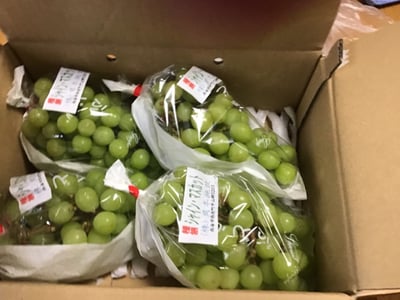 お礼の品の感想画像 1