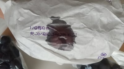 お礼の品の感想画像 2