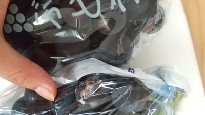 お礼の品の感想画像 3