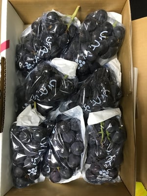 お礼の品の感想画像 1