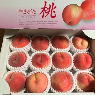 お礼の品の感想画像 1