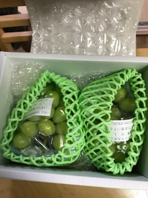 お礼の品の感想画像 1