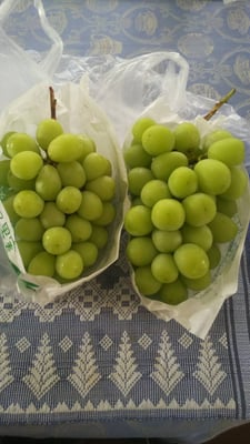 お礼の品の感想画像 1