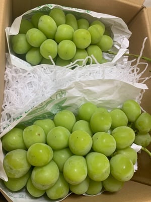 お礼の品の感想画像 1