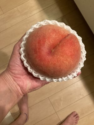 お礼の品の感想画像 2