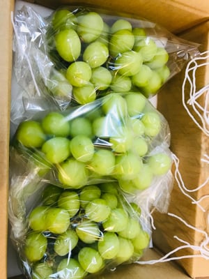 お礼の品の感想画像 1