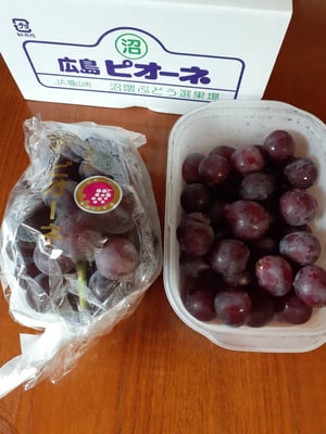 お礼の品の感想画像 1