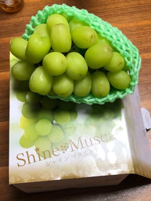 お礼の品の感想画像 1