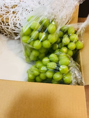 お礼の品の感想画像 3