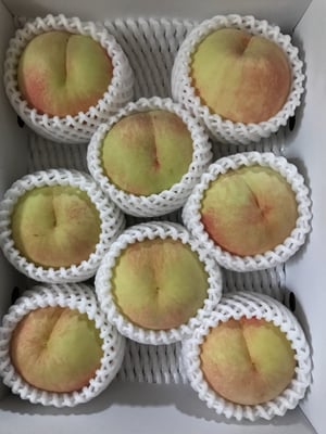 お礼の品の感想画像 3