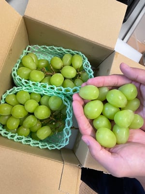お礼の品の感想画像 1
