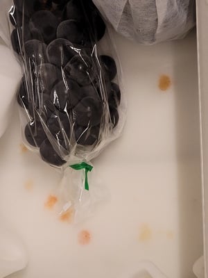 お礼の品の感想画像 1