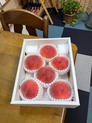 お礼の品の感想画像 1