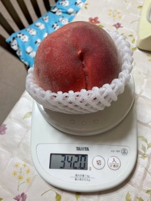 お礼の品の感想画像 2