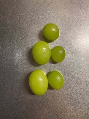 お礼の品の感想画像 1