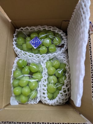 お礼の品の感想画像 1