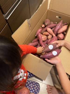 お礼の品の感想画像 1
