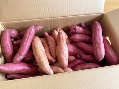 お礼の品の感想画像 1