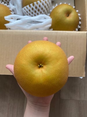 お礼の品の感想画像 2