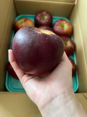 お礼の品の感想画像 2