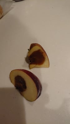 お礼の品の感想画像 1