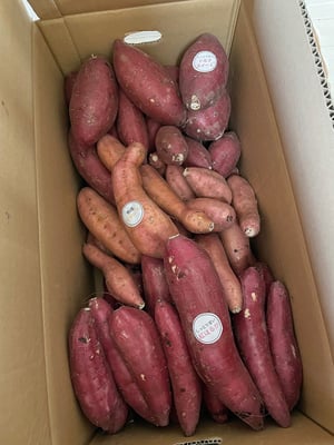 お礼の品の感想画像 1
