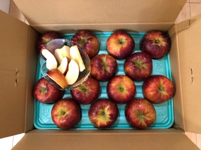 お礼の品の感想画像 1
