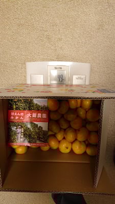 お礼の品の感想画像 1