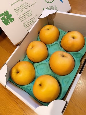 お礼の品の感想画像 1