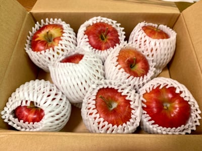 お礼の品の感想画像 1