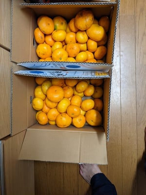 お礼の品の感想画像 1