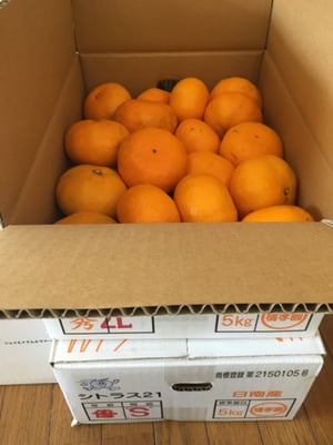お礼の品の感想画像 1