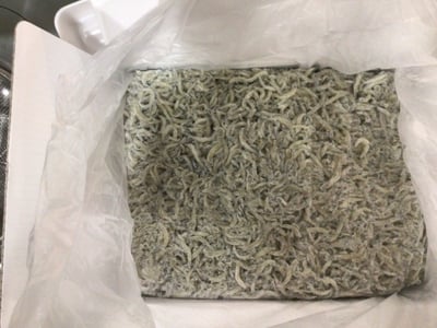 お礼の品の感想画像 1