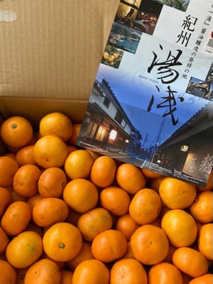 お礼の品の感想画像 1