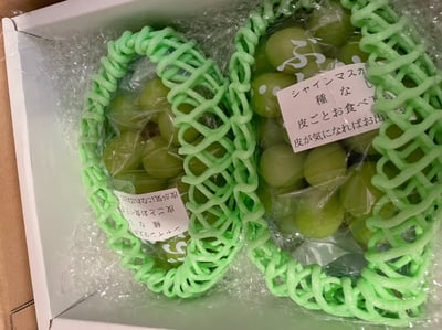 愛知県西尾市産　シャインマスカット入り　野菜の詰め合わせ　80サイズ