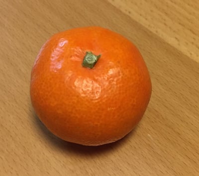 お礼の品の感想画像 2
