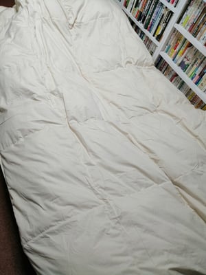 お礼の品の感想画像 1
