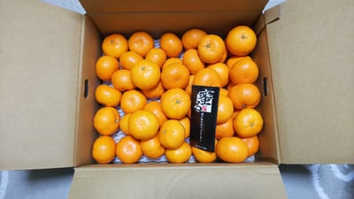 JAにしうわの季節の柑橘(みつる共選「蜜る」約4kg)＜D08-48