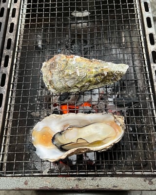 お礼の品の感想画像 1