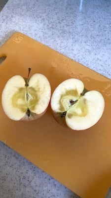 お礼の品の感想画像 1